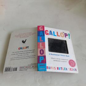 A Scanimation Book: Gallop! 神奇动画书：奔跑 