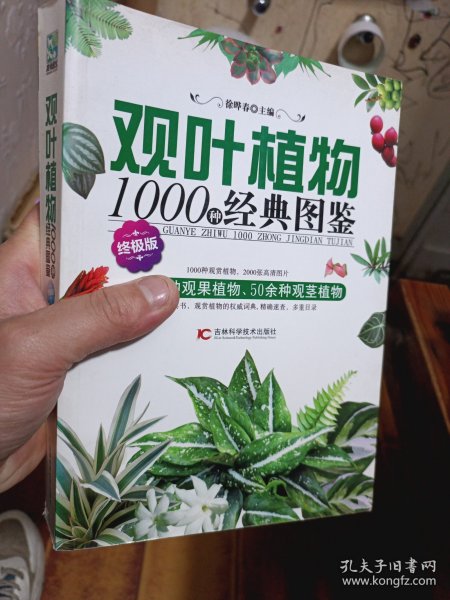 观叶植物1000种经典图鉴