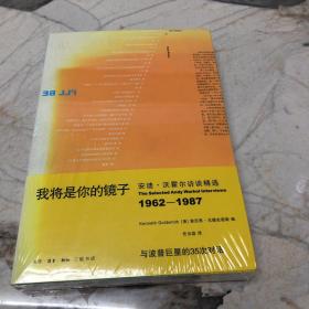 我将是你的镜子：与波普巨星的35次对话