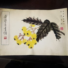 荣宝斋画谱花卉草虫部分-齐白石绘