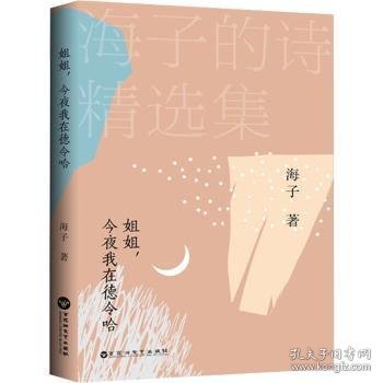 姐姐，今夜我在德令哈