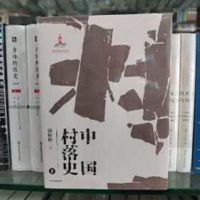 中国村落史