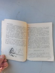 辽宁青年 半月刊（1975-15；总第66期）