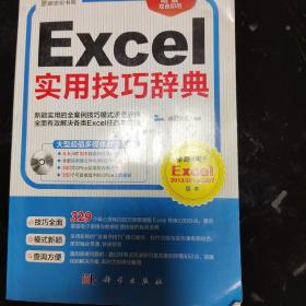 Excel实用技巧辞典（DVD）