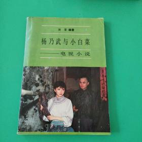 90年《杨乃武与小白菜》（电视小说）