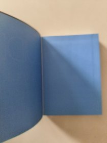 le guide des symptomes：450 symptomes detailles pour poser soi-meme un premier diagnostic 法文原版 软精装 《症状指南：450个症状详细信息，让您自己做出第一次诊断》近全新 有书香味 书较重