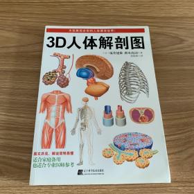 3D人体解剖图