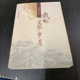 我的“文革”岁月