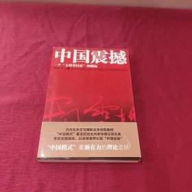 中国震撼：一个“文明型国家”的崛起