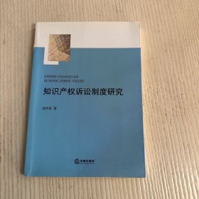 知识产权诉讼制度研究