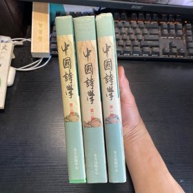中国诗学3册精装