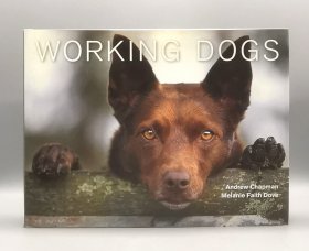 澳大利亚工作犬的故事：摄影集》大开精装本 全彩画册 Working Dogs A Photo Documentary of the Australian Working Dog 英文原版书