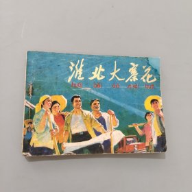 淮北大寨花