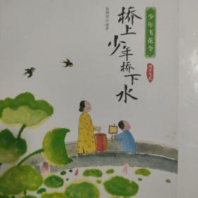 少年飞花令-桥上少年桥下水