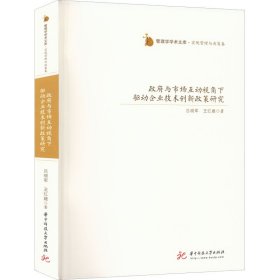 當(dāng)當(dāng)正版 政府與市場(chǎng)互動(dòng)視角下驅(qū)動(dòng)企業(yè)技術(shù)創(chuàng)新政策研究 呂曉軍,王紅建 9787568086301 華中科技大學(xué)出版社
