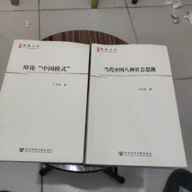 《辩论中国模式》《当代中国八种社会思潮》2本合售、正版