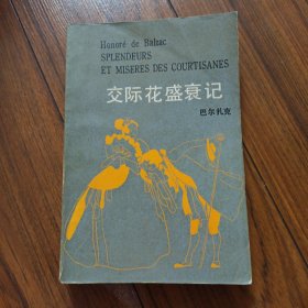 交际花盛衰记