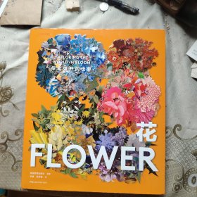 花探索盛开的世界费顿艺术灵感系列典藏画册近4000年历史跨度316幅艺术史关键作品精炼的讲解学习自然艺术绘画素描写生花道时尚