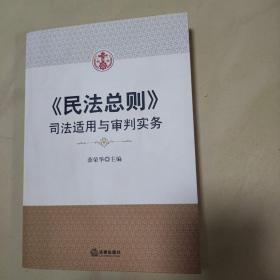 民法总则：司法适用与审判实务