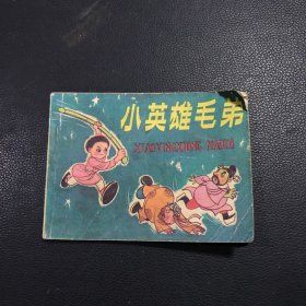 小英雄毛弟