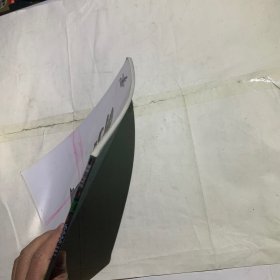 宫西达也恐龙系列 我爱你 背面瑕疵如图