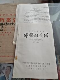 电影台本完成台本电影角本（沸腾的生活）