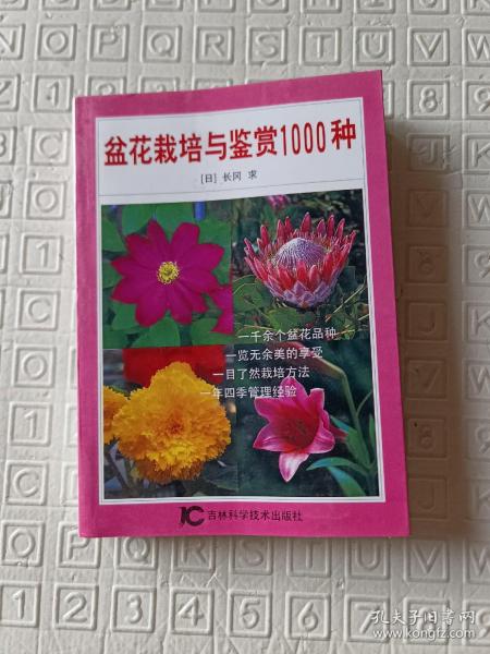 盆花栽培与鉴赏1000种