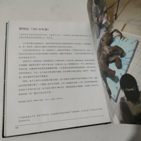地球之美