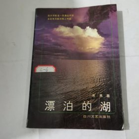 漂泊的湖(1989 年一版一印)