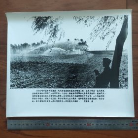 超大尺寸：1981年，黑龙江哈尔滨郊区建成一处无线电遥控的，喷灌工程