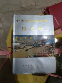 中国企业大辞典.湖北卷(b16开25)