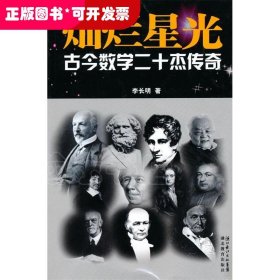 灿烂星光：古今数学二十杰传奇