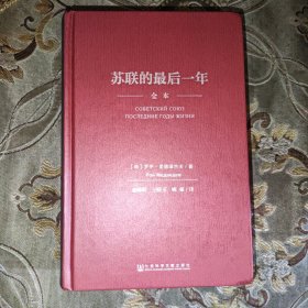 苏联的最后一年