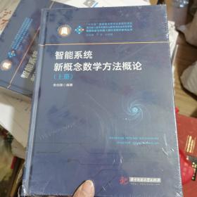 智能系统新概念数学方法概论：上下册