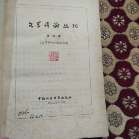 文学评论丛刊 6