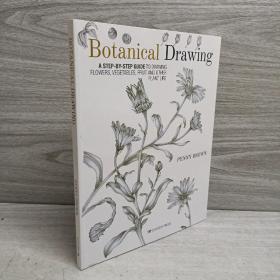 Botanical Drawing