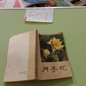 月季花（中国传统名花丛书）