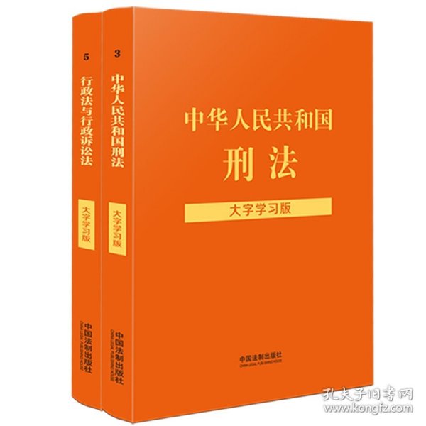 中华人民共和国刑法（大字学习版）