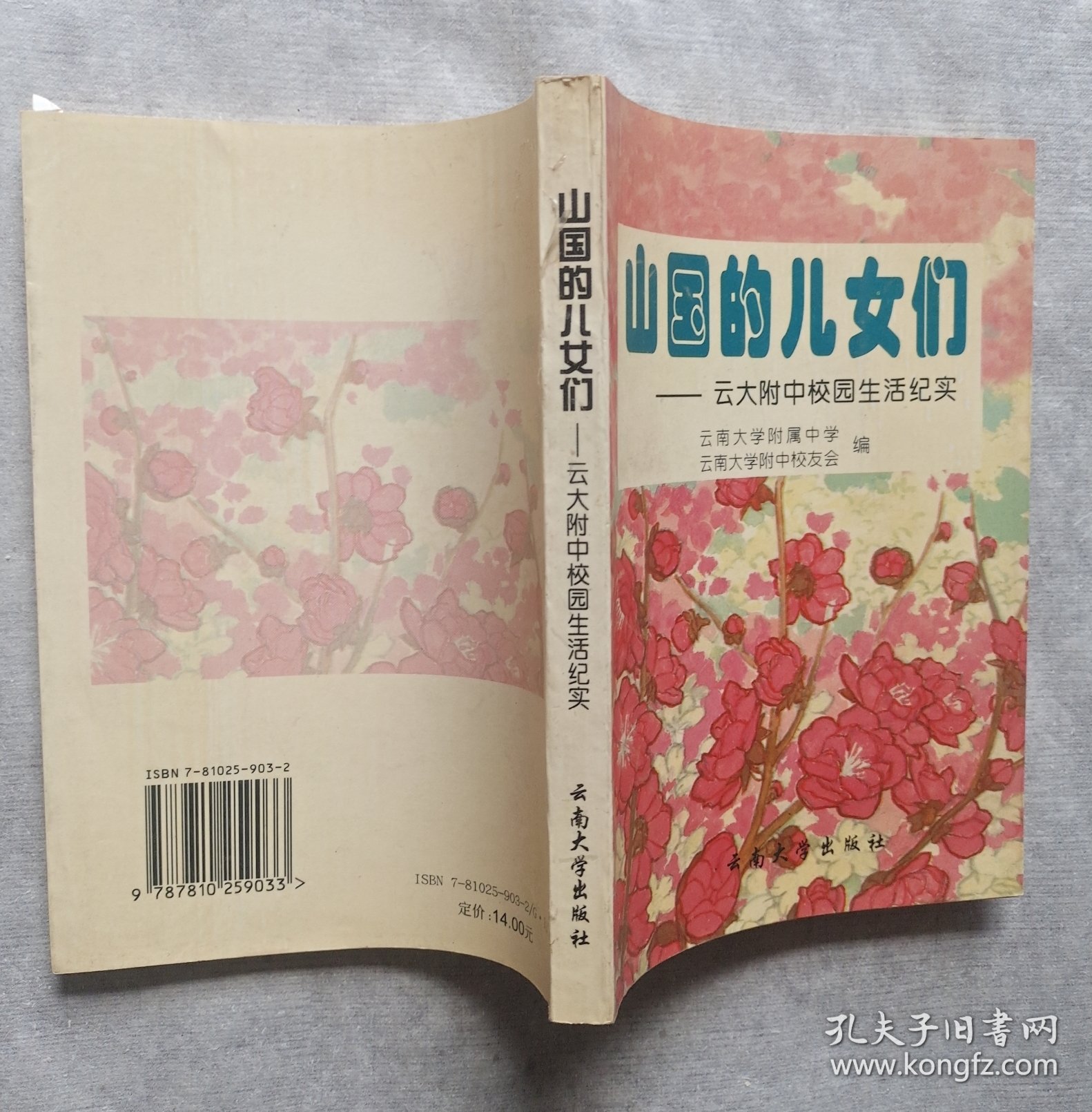 山国的儿女们:云大附中校园生活纪实