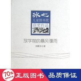 放學(xué)前的暴風(fēng)驟雨 兒童文學(xué) 劉殿學(xué)