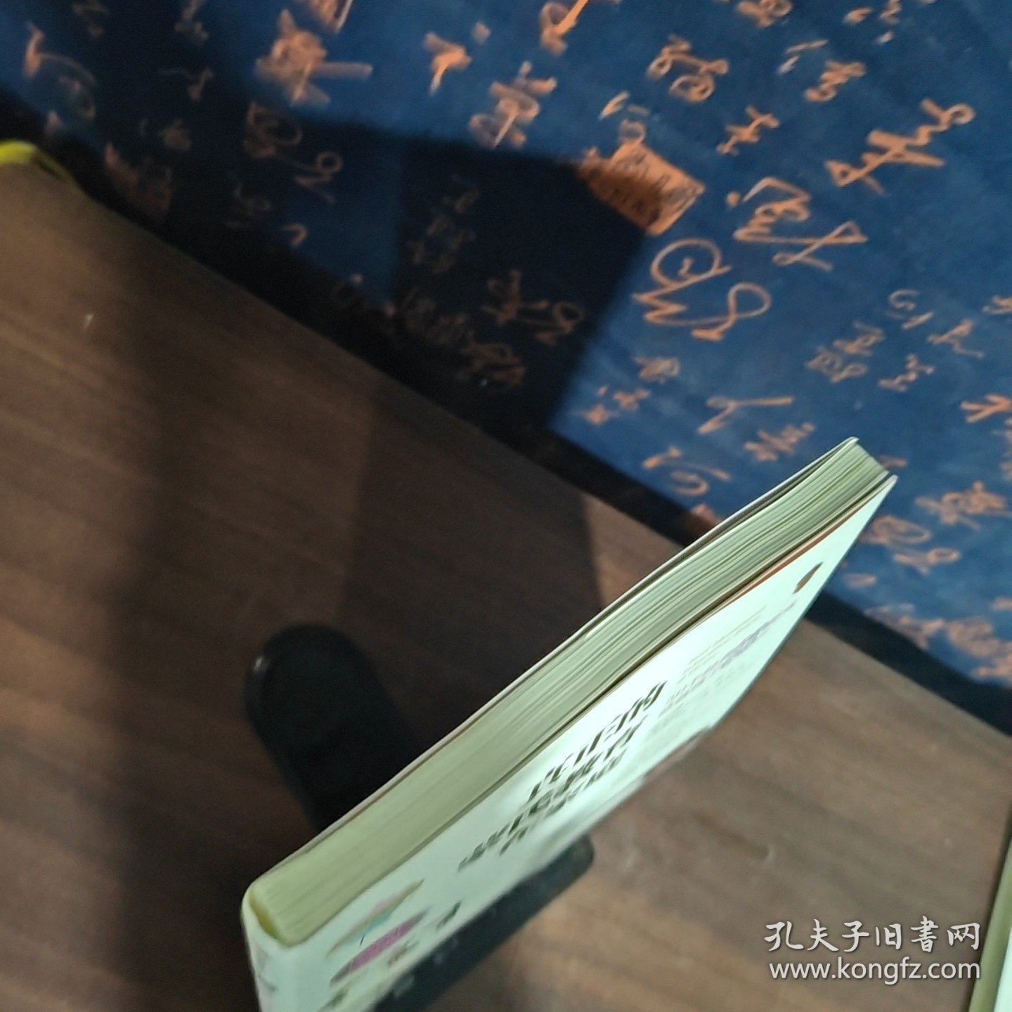 真正的蒙氏教育在家庭——50个经典语言游戏造就孩子表达力