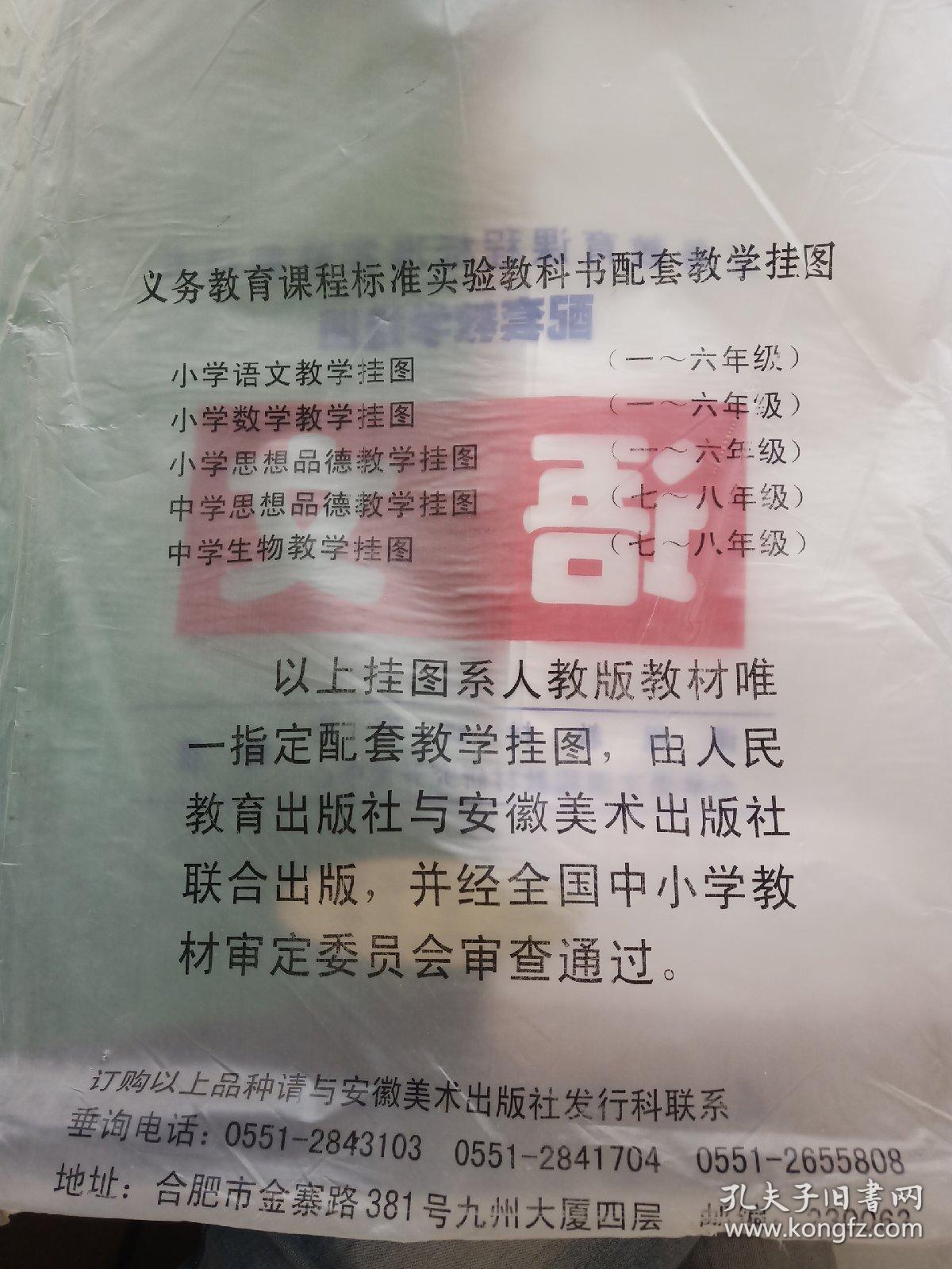 义务教育课程标准实验教科书配套教学挂图语文 二年级上册（全36张）