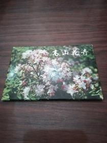 高山花卉 特种明信片