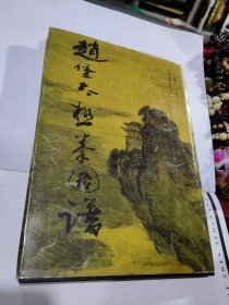 赵宝太极拳图谱 精装正版