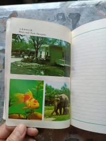 笔记本日记本：上海日记本 绿绸缎面（空白〉