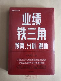 《业绩铁三角：预算、分析、激励》（财务BP丛书）