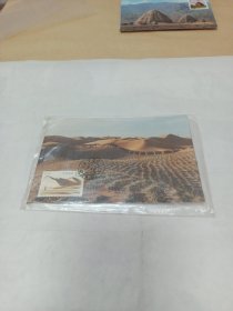 沙漠绿化极限片（4枚一套）