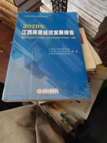 2020年江西民营经济发展报告