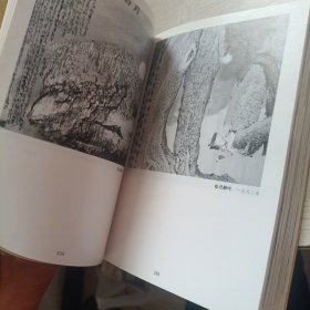 杨彦书画集 卷一
