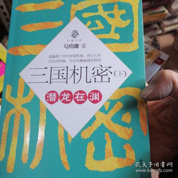 三国机密（上下全二册）：潜龙在渊